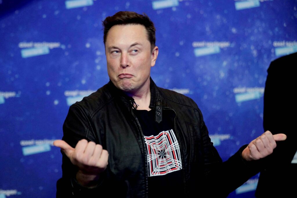 Tesla Owner Elon Musk