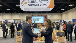 Potato Exporters