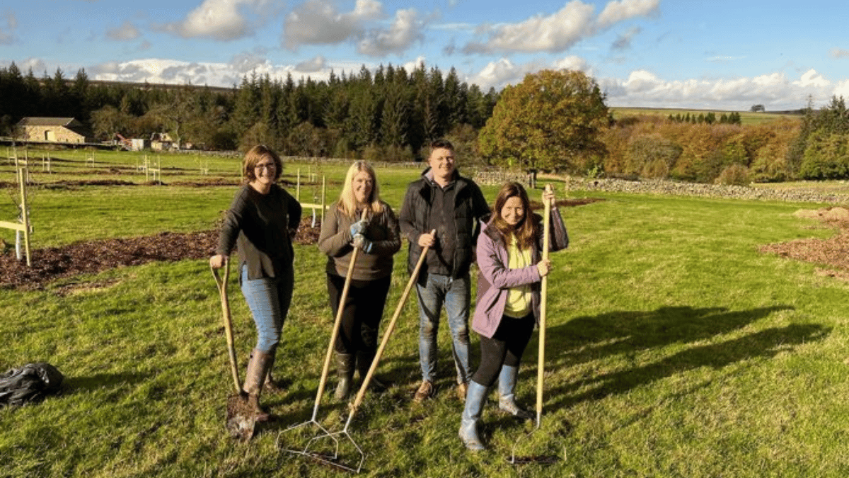 Lime Venue Portfolio Celebrates Major Sustainability Milestone with Platinum, Gold and Silver ECOsmart Certifications