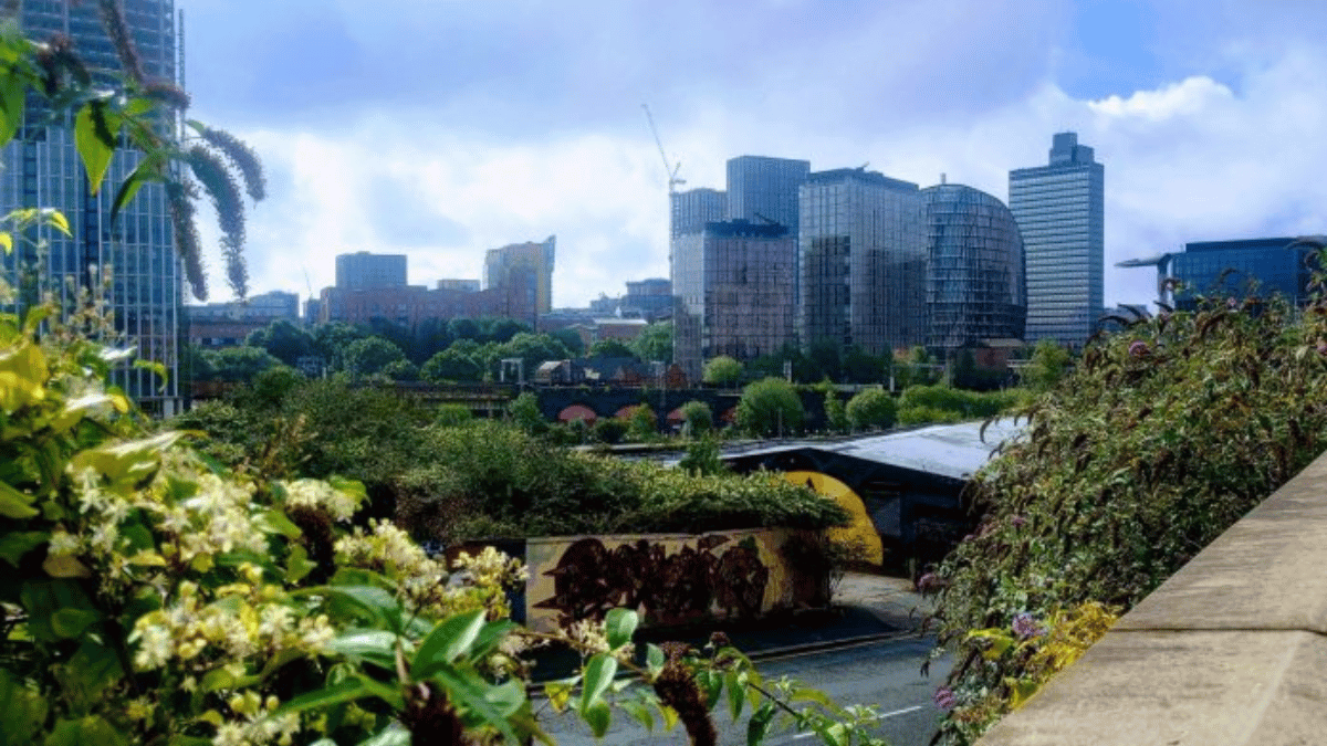 CHS Manchester Fringe Programme Expands with New Experiences Across the City