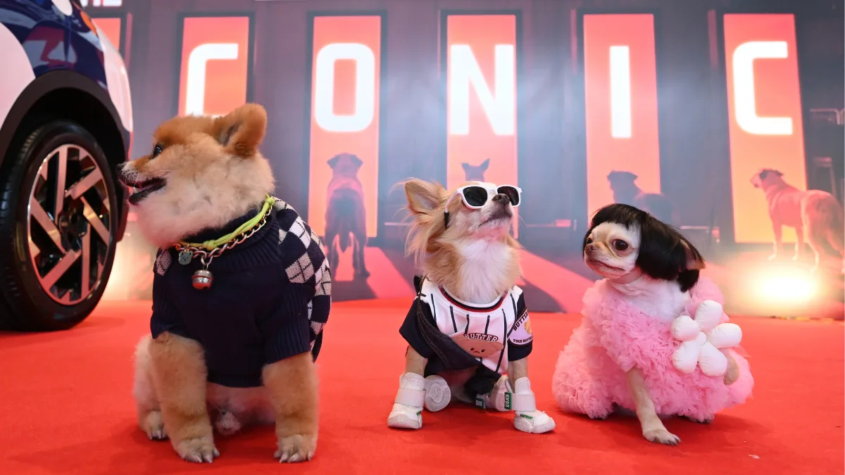 Thailand International Dog Show 2026 Concludes Successfully Setting the Stage for an Even Bigger 2027 Edition